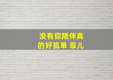 没有你陪伴真的好孤单 菲儿